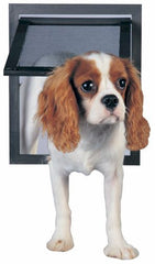 Dog Doors